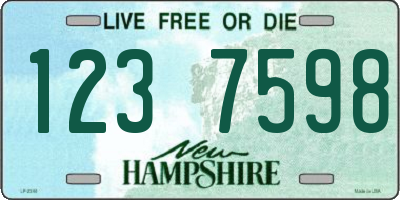 NH license plate 1237598