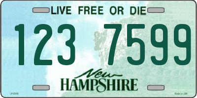 NH license plate 1237599