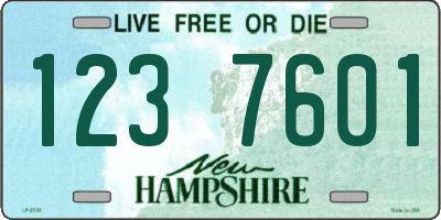 NH license plate 1237601
