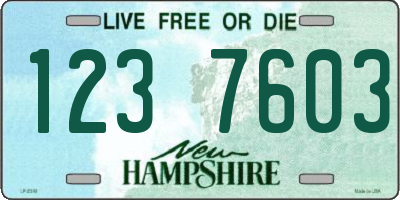 NH license plate 1237603