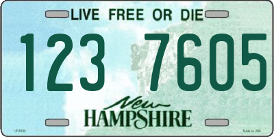 NH license plate 1237605
