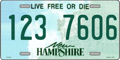 NH license plate 1237606