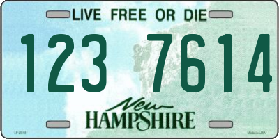NH license plate 1237614