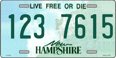 NH license plate 1237615