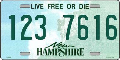NH license plate 1237616