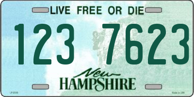 NH license plate 1237623