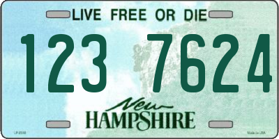 NH license plate 1237624
