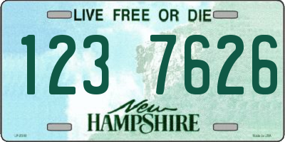 NH license plate 1237626