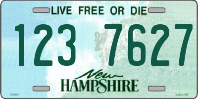 NH license plate 1237627