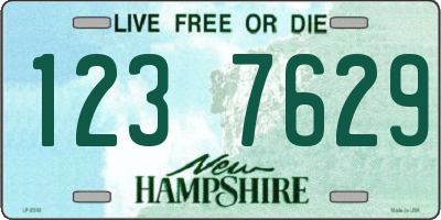 NH license plate 1237629