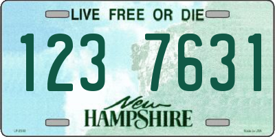 NH license plate 1237631