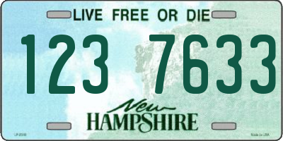 NH license plate 1237633