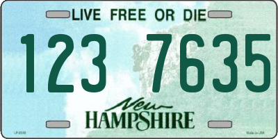 NH license plate 1237635