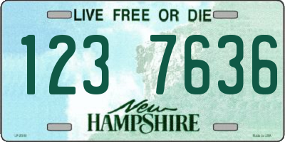 NH license plate 1237636