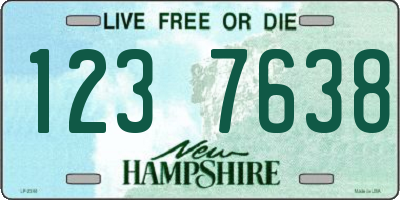 NH license plate 1237638