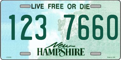 NH license plate 1237660