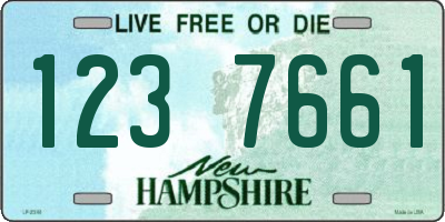 NH license plate 1237661