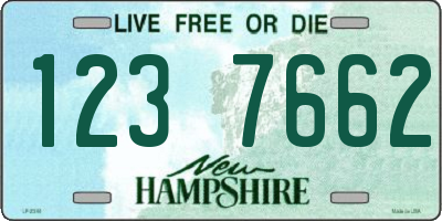 NH license plate 1237662