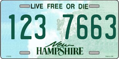 NH license plate 1237663