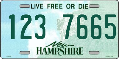NH license plate 1237665
