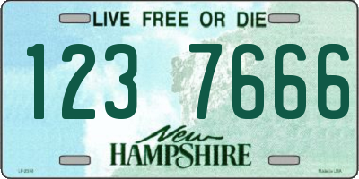 NH license plate 1237666