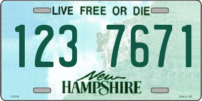NH license plate 1237671