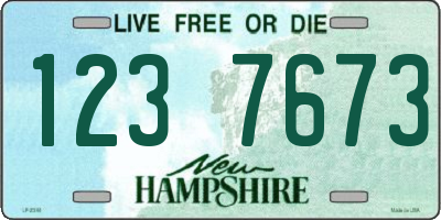 NH license plate 1237673