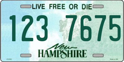 NH license plate 1237675
