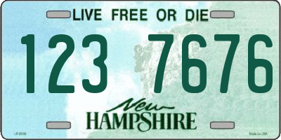 NH license plate 1237676