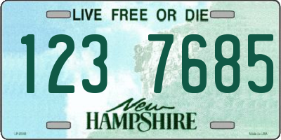 NH license plate 1237685