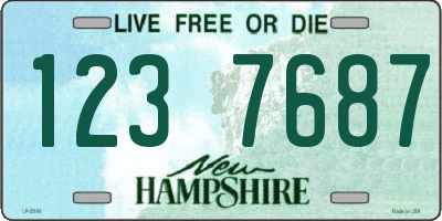 NH license plate 1237687