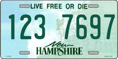 NH license plate 1237697