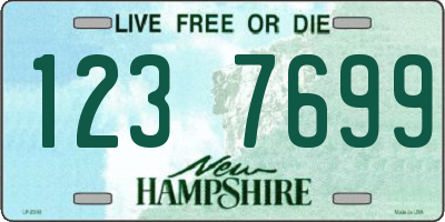 NH license plate 1237699