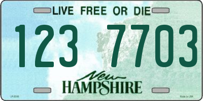 NH license plate 1237703