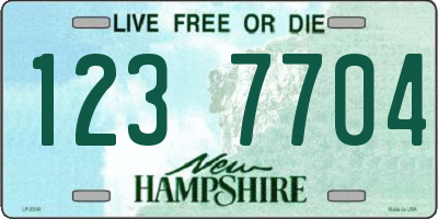 NH license plate 1237704