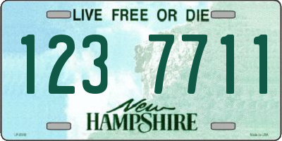 NH license plate 1237711