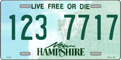 NH license plate 1237717