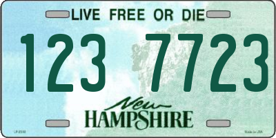 NH license plate 1237723