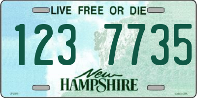 NH license plate 1237735