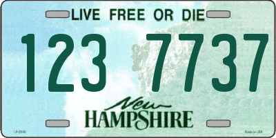 NH license plate 1237737