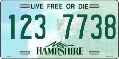 NH license plate 1237738