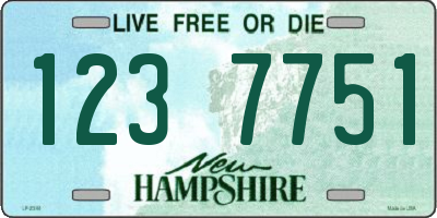 NH license plate 1237751