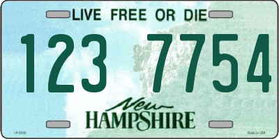 NH license plate 1237754