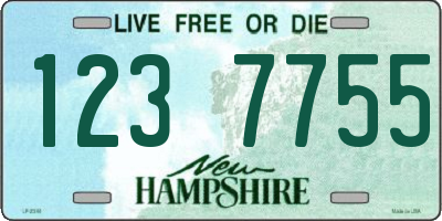NH license plate 1237755