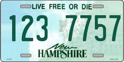 NH license plate 1237757