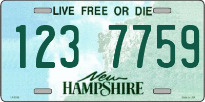 NH license plate 1237759