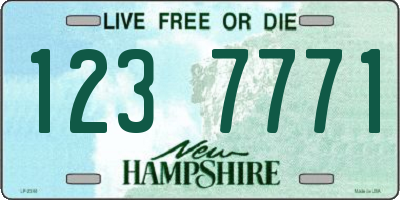 NH license plate 1237771