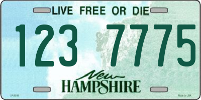NH license plate 1237775