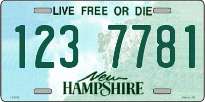 NH license plate 1237781