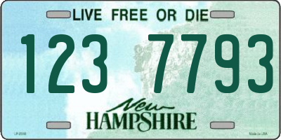 NH license plate 1237793